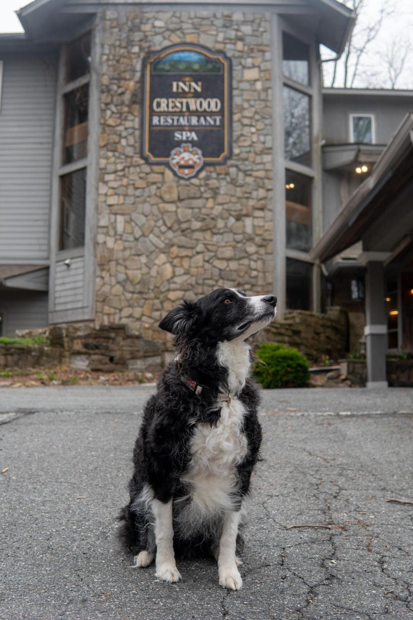 Mini-hôtel At Crestwood Boone